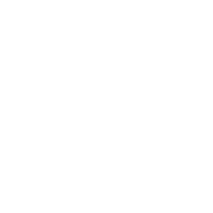 Your Logo